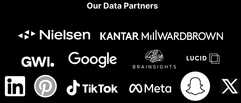 business intelligence data partners